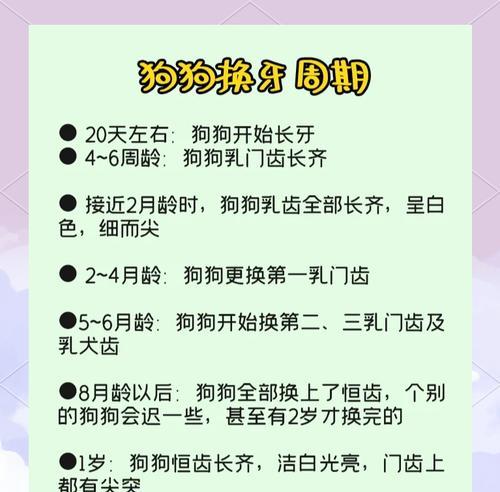 小狗牙掉了多久长出来？如何处理？