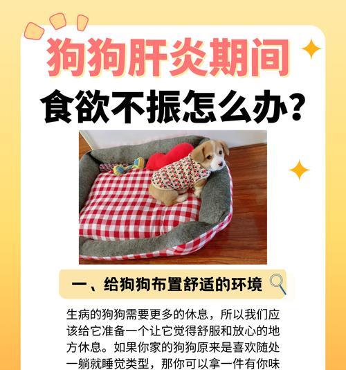 探究影响2个月大狗狗食量的因素(食物种类和身体状况是关键) 探究影响2个月大狗狗食量的因素(食物种类和身体状况是关键)