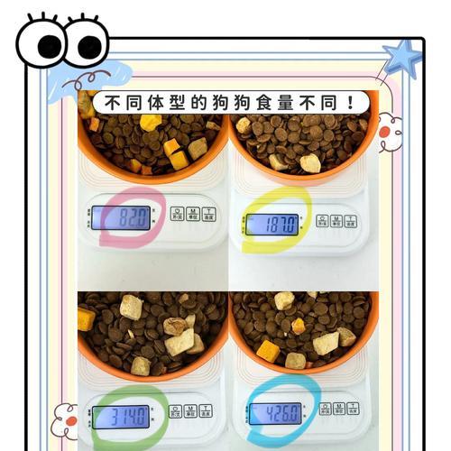 探究影响2个月大狗狗食量的因素(食物种类和身体状况是关键) 探究影响2个月大狗狗食量的因素(食物种类和身体状况是关键)