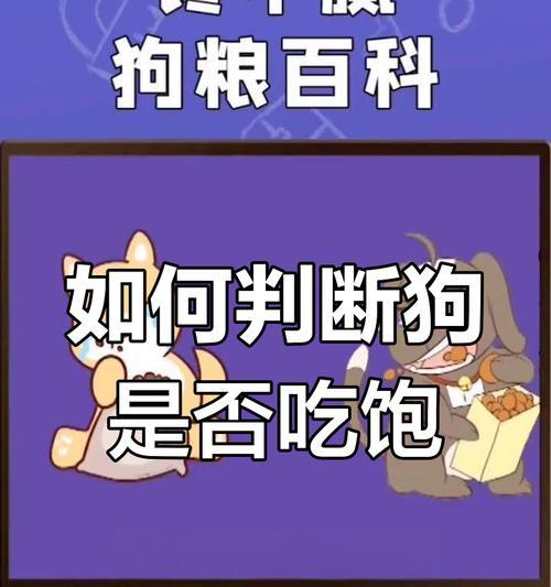 2个月大狗狗食量影响因素分析｜科学喂养全攻略
