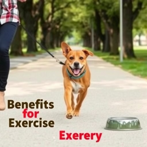 慢跑对狗的益处与风险(为你的狗狗慢跑带来的好处和潜在风险) 慢跑对狗的益处与风险(为你的狗狗慢跑带来的好处和潜在风险)