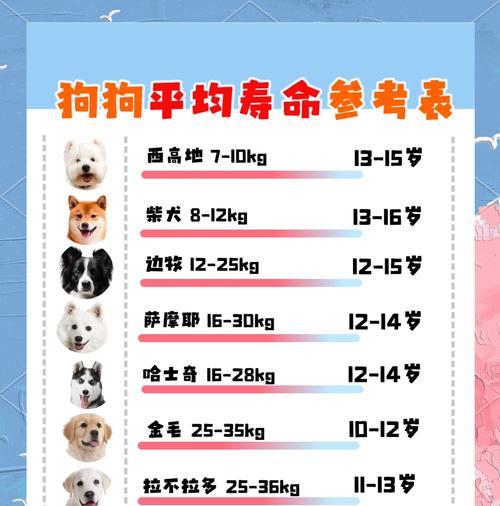 狗的配种间隔应该多久？（探讨狗的配种时间间隔对健康与繁殖的影响）