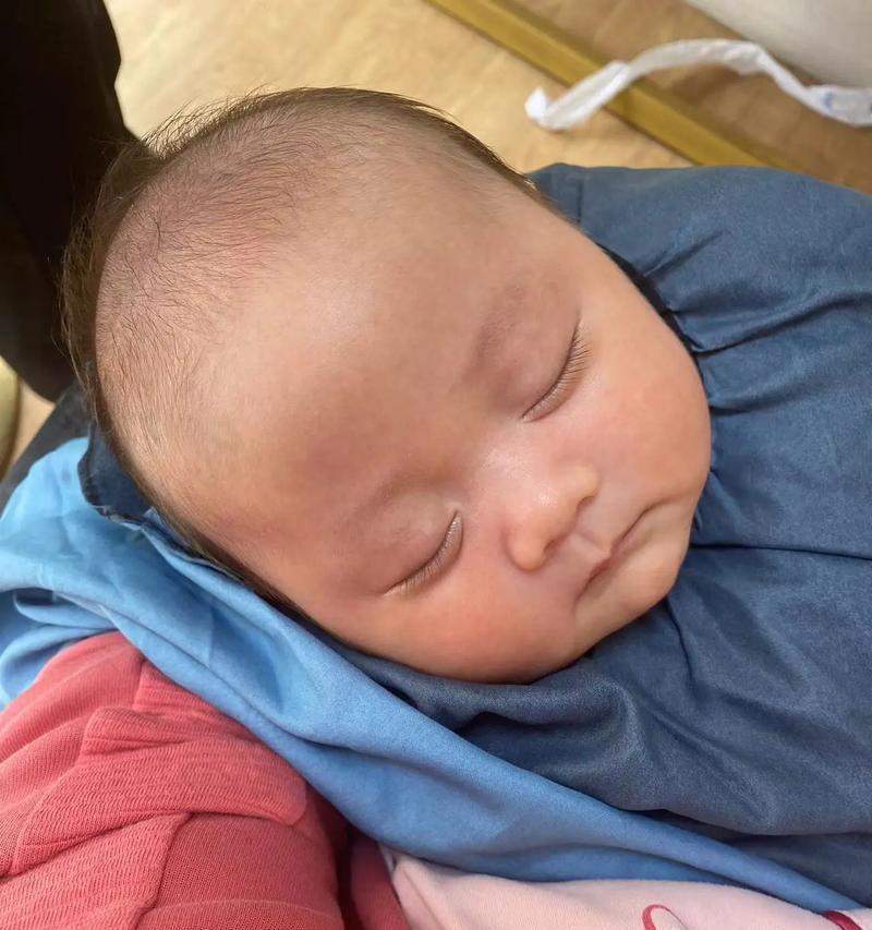 泰迪狗剃胎毛（解析泰迪狗剃胎毛的时间和方法）