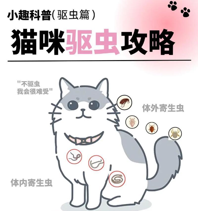 猫咪驱虫药的使用频率（保护宠物健康的关键措施）