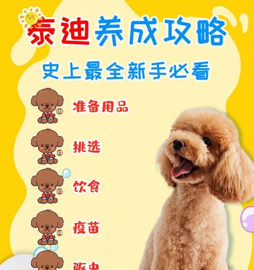 幼犬泰迪打疫苗后何时可以洗澡？（洗澡前请留意这些关键信息）