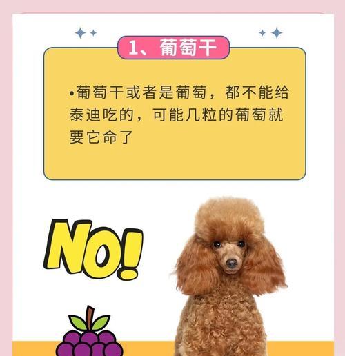 以泰迪的禁食水果大揭秘（了解泰迪狗狗不能吃的水果，让它们健康快乐成长）