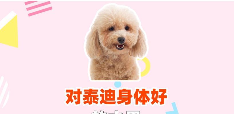 以泰迪的禁食水果大揭秘（了解泰迪狗狗不能吃的水果，让它们健康快乐成长）