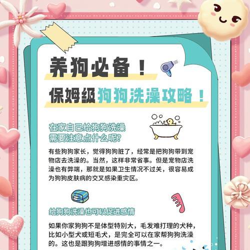狗狗洗澡的频率与注意事项（探讨2岁狗狗洗澡的最佳频率和正确方法）