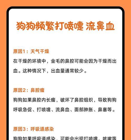 小狗感冒的康复时间及治疗方法（了解小狗感冒的症状与治愈时间，保护你的毛小孩）