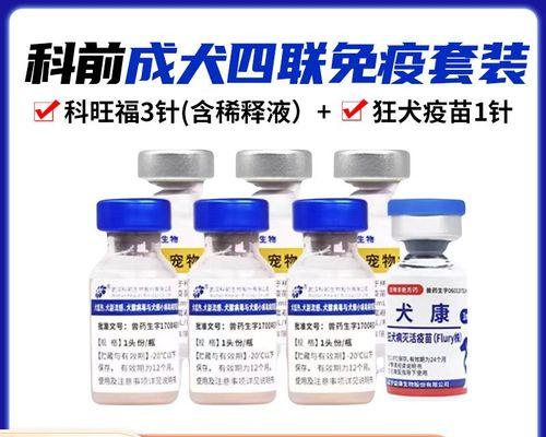 幼犬泰迪打疫苗后何时可以洗澡？（洗澡前请留意这些关键信息）