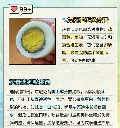 以泰迪的禁食水果大揭秘（了解泰迪狗狗不能吃的水果，让它们健康快乐成长）