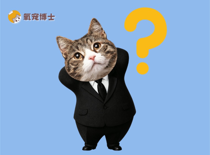猫咪长期吃一种猫粮好还是换着吃好？