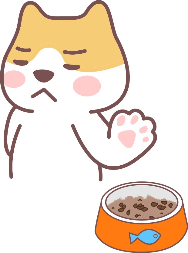 猫咪长期吃一种猫粮好吗？