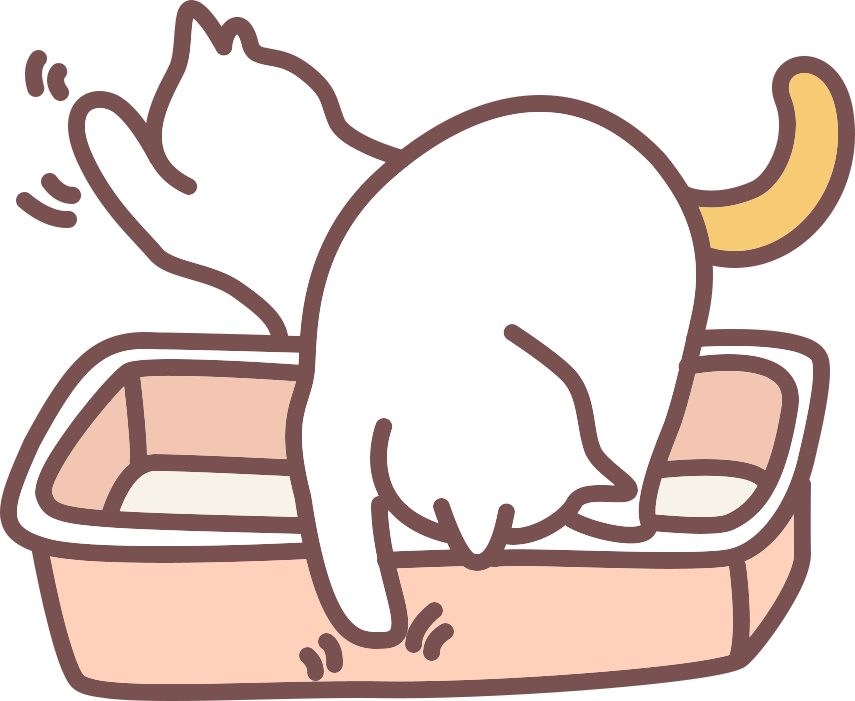 猫咪粑粑粘屁股