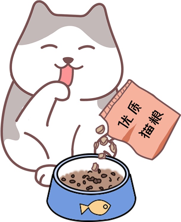 小猫吃撑了呕吐怎么办？