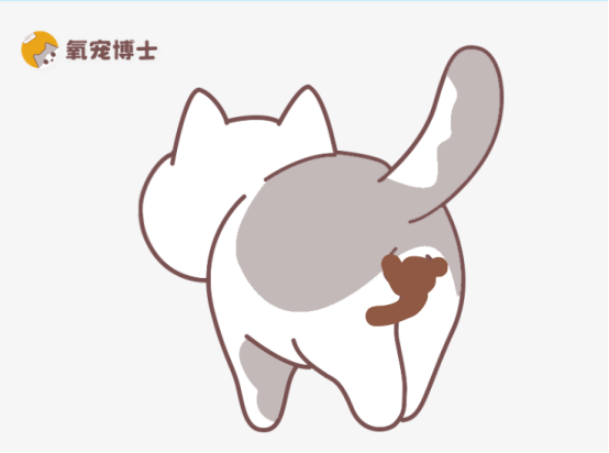 小猫屁股上总粘粑粑怎么办？