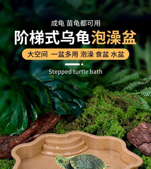 陆龟泡澡的时间和方法（揭秘陆龟泡澡的秘密，探讨适宜的泡澡时间）