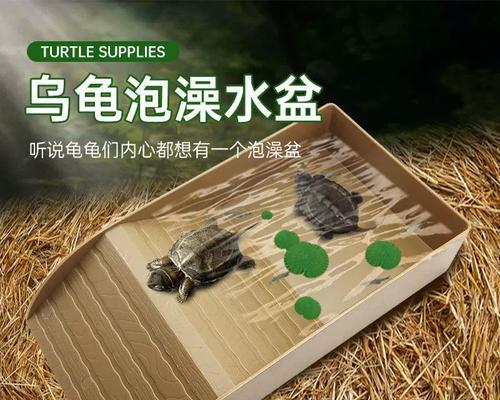 陆龟泡澡的时间和方法（揭秘陆龟泡澡的秘密，探讨适宜的泡澡时间）