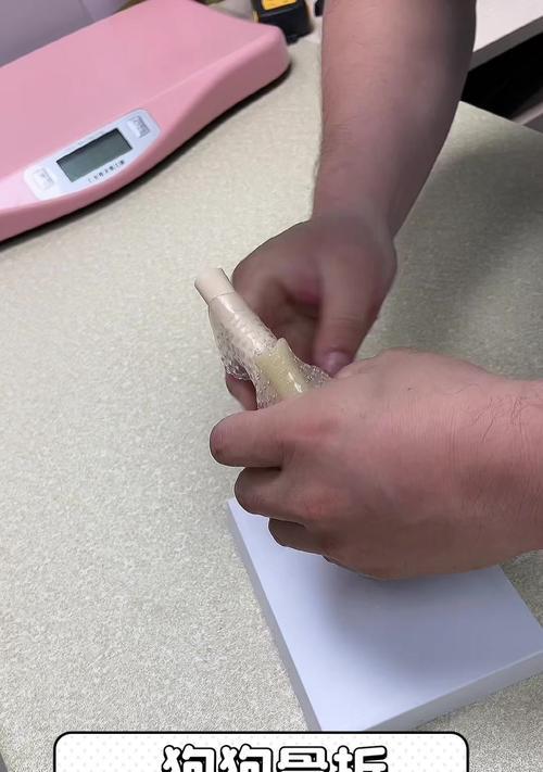 狗骨折恢复时间及治疗方法（狗骨折恢复需要多长时间？如何帮助狗狗快速康复？）