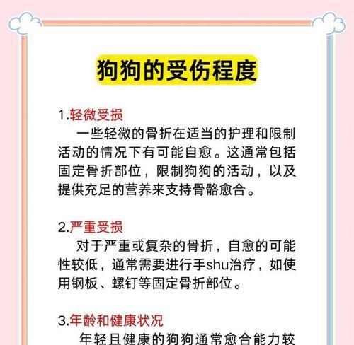 狗骨折恢复时间及治疗方法（狗骨折恢复需要多长时间？如何帮助狗狗快速康复？）
