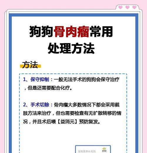 狗骨折恢复时间及治疗方法（狗骨折恢复需要多长时间？如何帮助狗狗快速康复？）