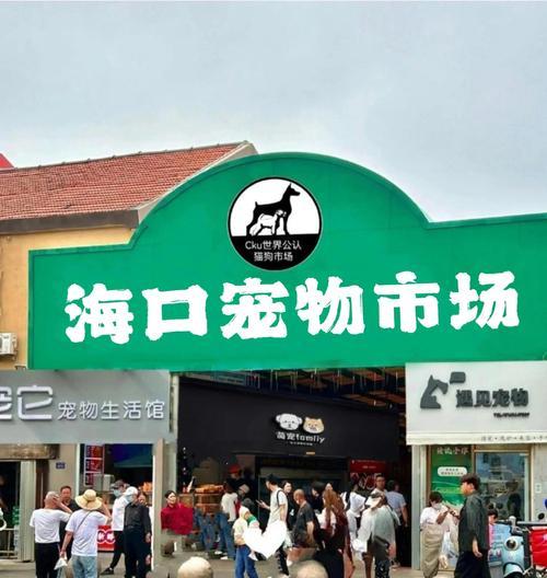 宠物行业（关注宠物行业热门公司，把握发展趋势）