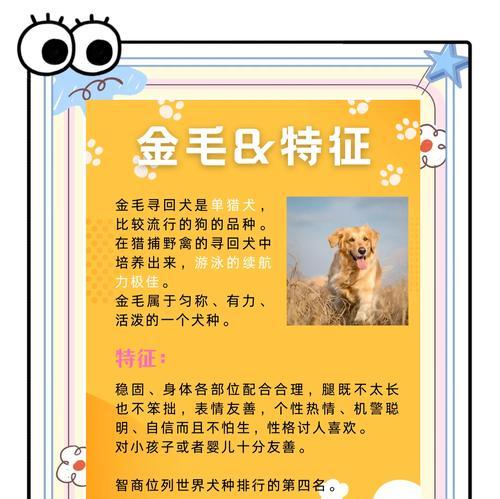 金毛犬洗澡的最佳频率及注意事项（金毛犬洗澡的时间间隔和洗澡前后的护理方法）