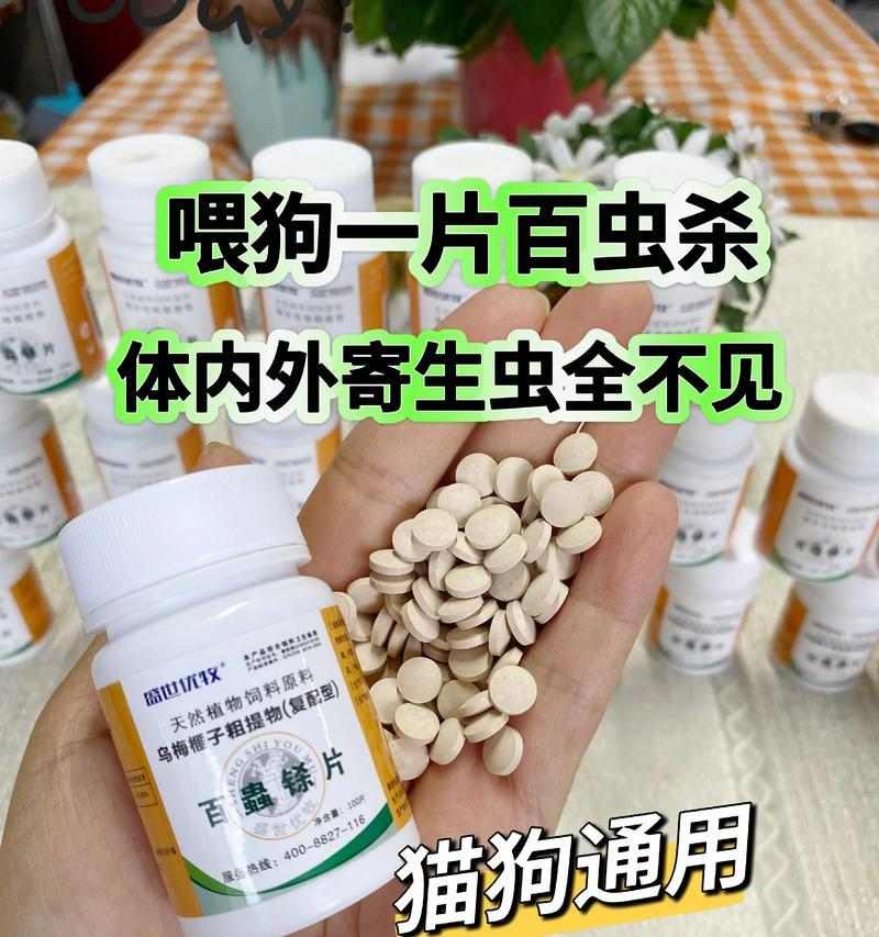 狗驱虫后多久可以出门？（让宠物狗在驱虫后安全出门的最佳时间点）