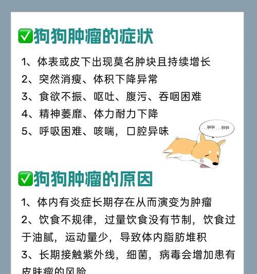 狗子宫癌的症状及早期预防（了解狗子宫癌的常见症状，提早预防保护您的毛孩）