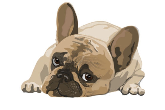 狗细小会传染人吗? 狗细小传染途径