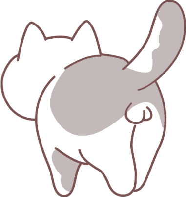 猫咪发情期多久结束?铲屎官必看的完整科普 猫咪发情怎么缓解?