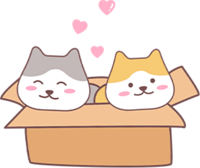 猫咪发情期多久结束?铲屎官必看的完整科普 猫咪发情周期