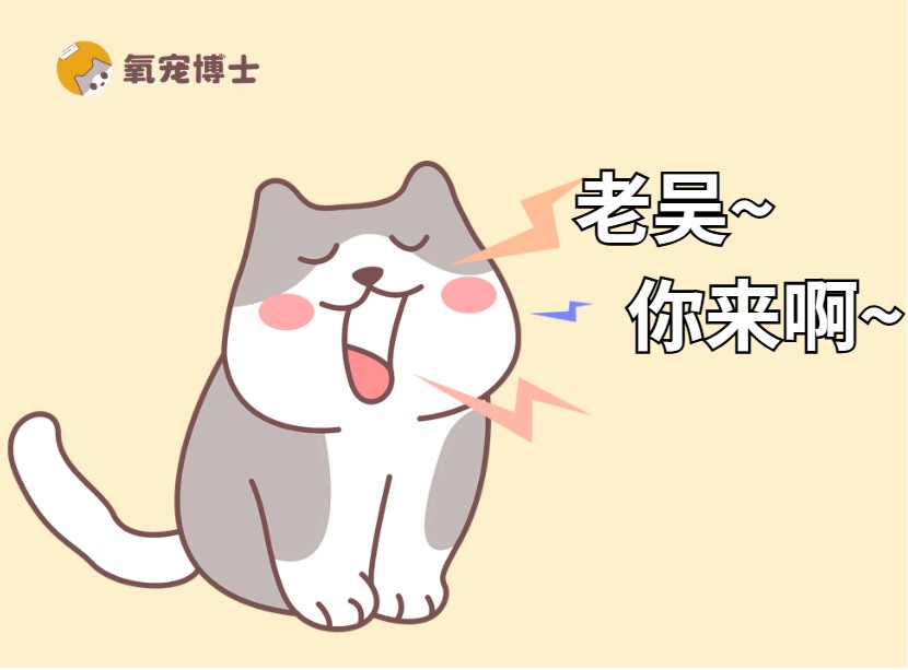 猫发情一直叫是难受吗?该怎么缓解? 猫发情一直叫是难受吗?