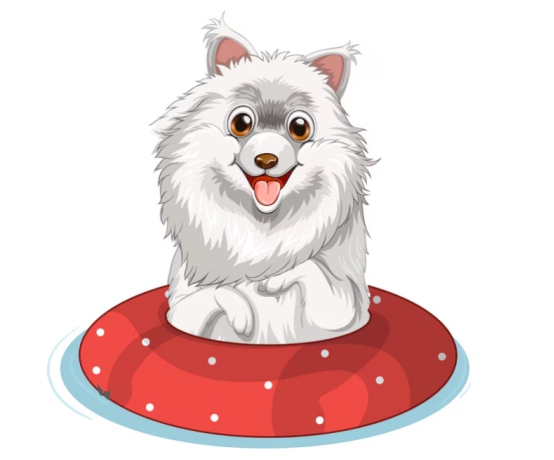 萨摩耶的好养吗？