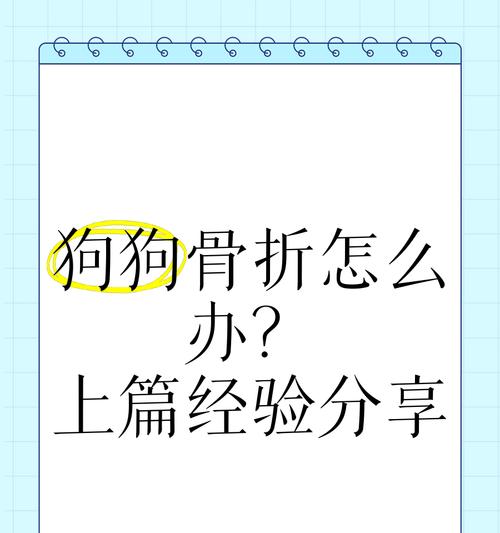 狗狗骨折固定时间与康复周期(狗狗骨折需固定多久才能完全康复?固定时间影响康复效果的关键) 狗狗骨折固定时间与康复周期(狗狗骨折需固定多久才能完全康复?固定时间影响康复效果的关键)