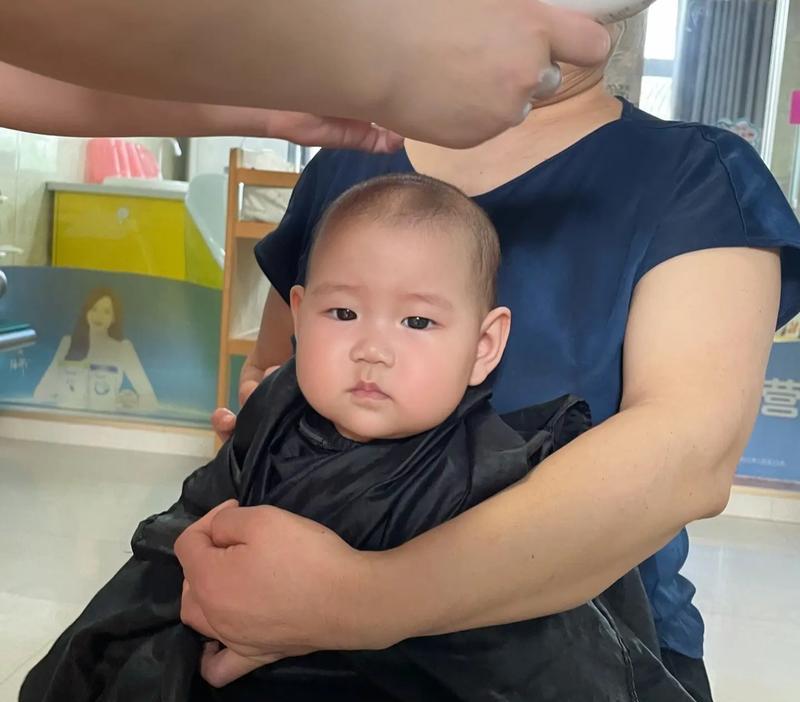 剃胎毛时间表(宠物狗剃胎毛) 剃胎毛时间表(宠物狗剃胎毛)