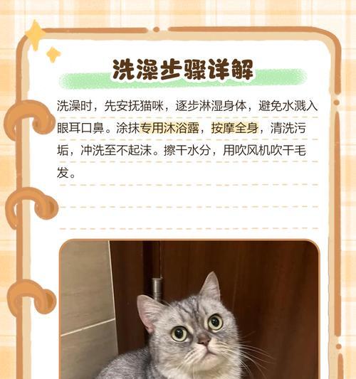猫怀孕多久能洗澡?(了解正确的猫咪孕期清洁护理方法) 猫怀孕多久能洗澡?(了解正确的猫咪孕期清洁护理方法)