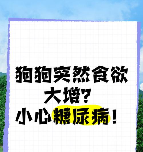 狗狗食量与生长发育的因素(探究2个月大狗狗的食量变化及其影响因素) 狗狗食量与生长发育的因素(探究2个月大狗狗的食量变化及其影响因素)
