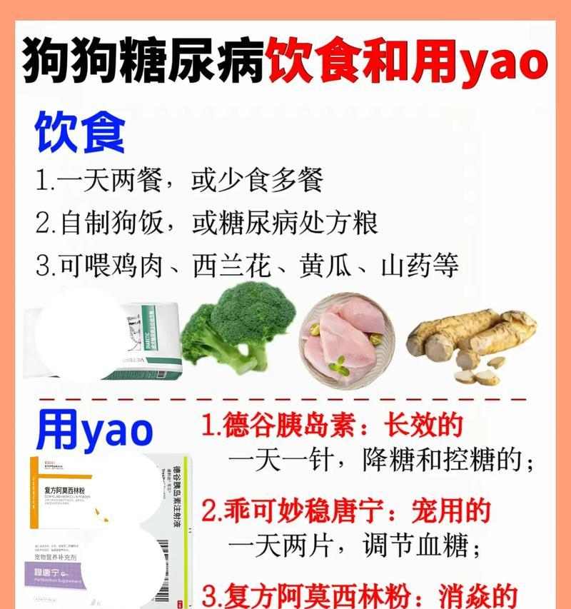 狗狗食量与生长发育的因素（探究2个月大狗狗的食量变化及其影响因素）