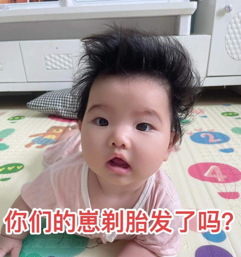 剃胎毛时间表(宠物狗剃胎毛) 剃胎毛时间表(宠物狗剃胎毛)