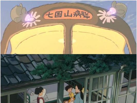 龙猫妈妈洗澡的时间间隔及注意事项（龙猫妈妈洗澡的频率、水温和洗澡方式）