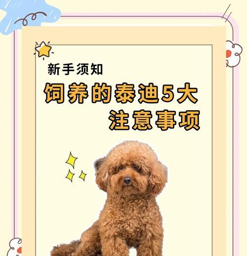 泰迪犬的指甲剪裁(宝贝泰迪剪指甲时间表及注意事项) 泰迪犬的指甲剪裁(宝贝泰迪剪指甲时间表及注意事项)