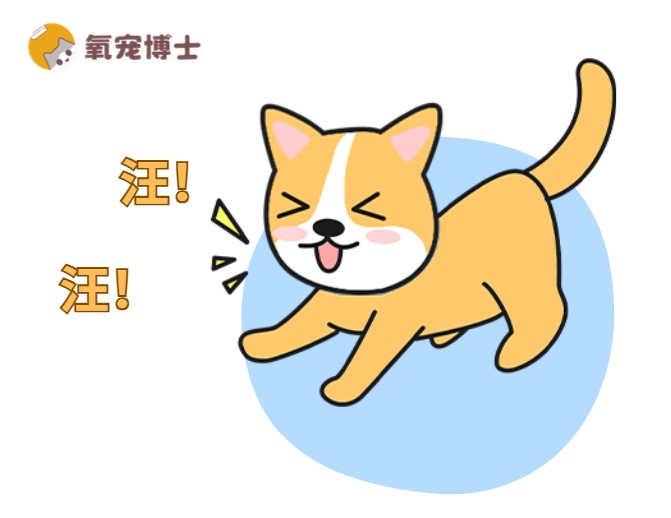 狗狗突然变得爱叫？可能是这些原因