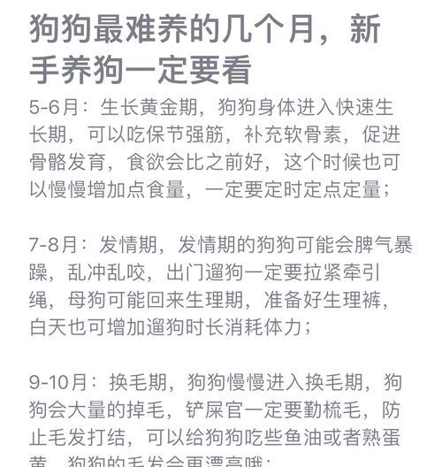 狗狗食量与生长发育的因素（探究2个月大狗狗的食量变化及其影响因素）