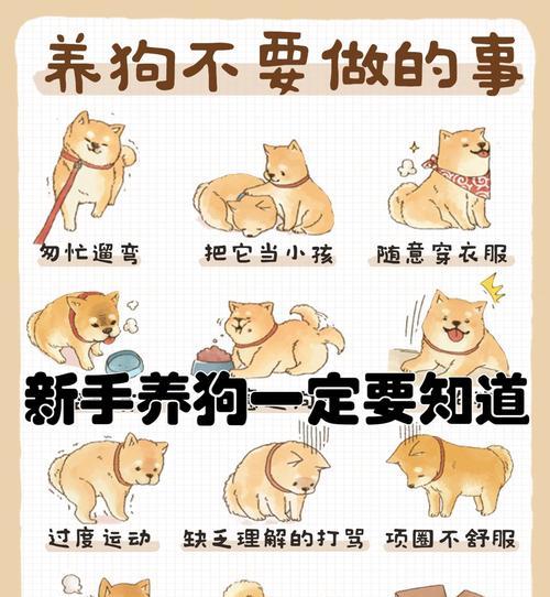 了解狗狗的成长周期,选择适合的体型(探索不同体型狗狗的成长需求与特点) 了解狗狗的成长周期,选择适合的体型(探索不同体型狗狗的成长需求与特点)