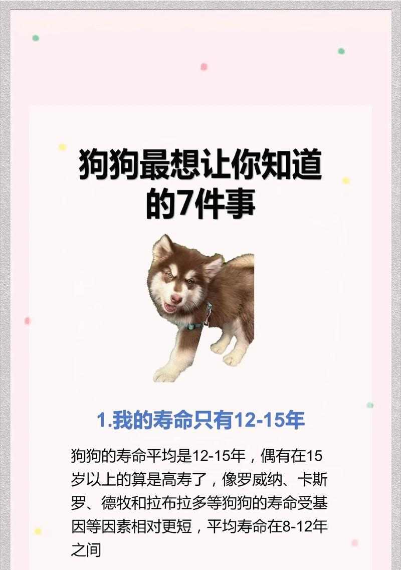 了解狗狗的成长周期,选择适合的体型(探索不同体型狗狗的成长需求与特点) 了解狗狗的成长周期,选择适合的体型(探索不同体型狗狗的成长需求与特点)