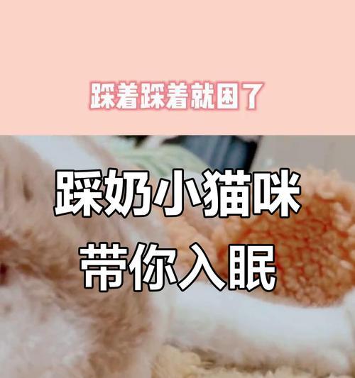 猫咪踩奶康复时间究竟需要多长？（探究猫咪踩奶行为的康复时间及关键因素）