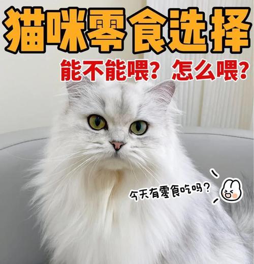 猫零食喂养频率与注意事项（探究猫咪喂养零食的时间间隔及合理选择）