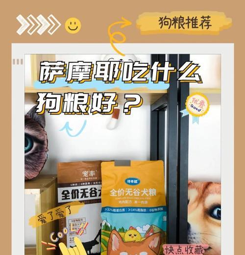 了解萨摩耶的日常饮食需求（科学喂养萨摩耶，让它健康成长）