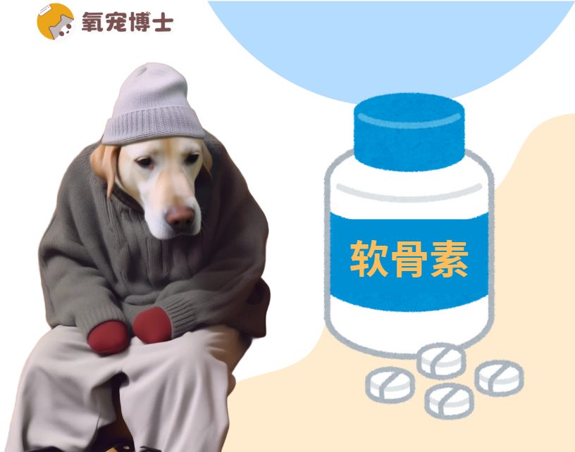 狗狗软骨素是什么？